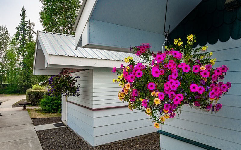 rer-cottages-flowers-july2019